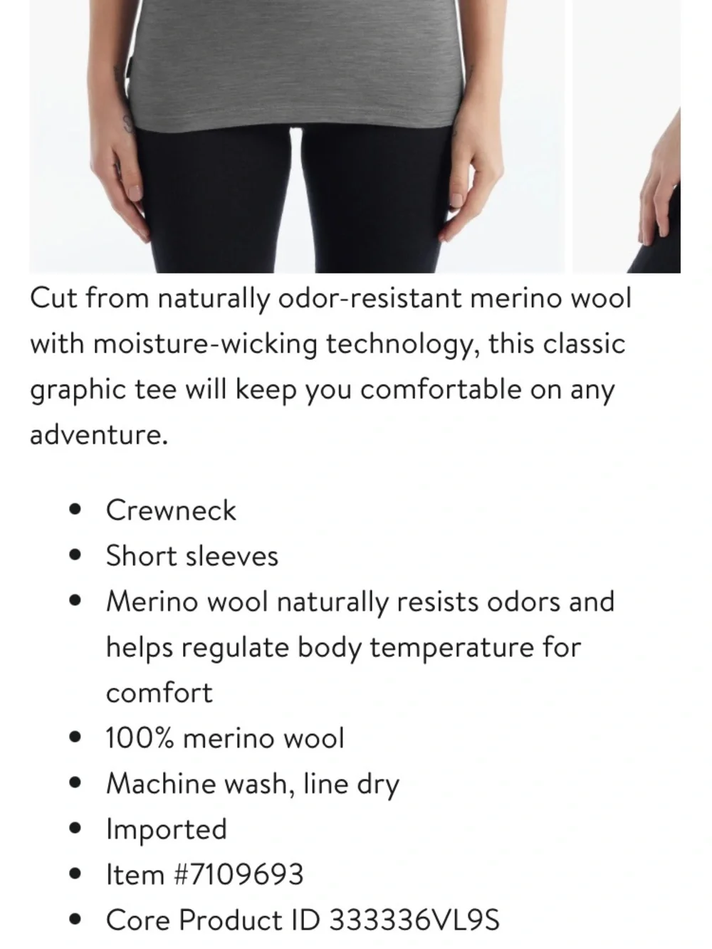 Icebreaker Gray Tech Lite Trailhead Graphic Tee - Picture 2 of 5